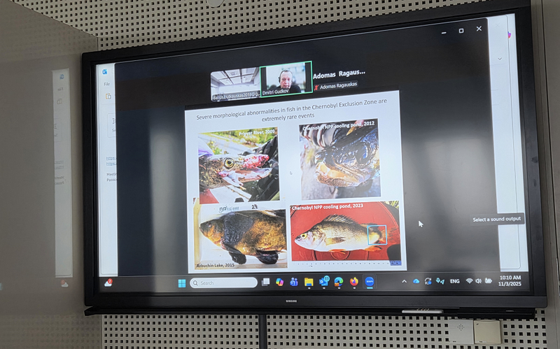 Seminar on the impact of radioactive contamination on fish